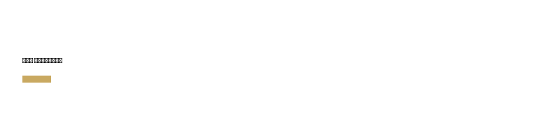 Дом Васильев logo